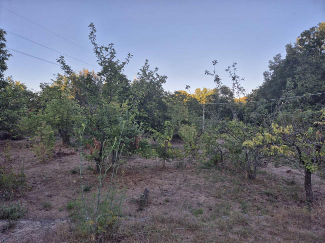 Terreno Agricolo in Vendita a Trecastagni