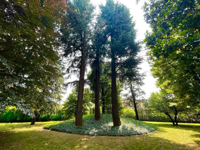 Villa in vendita a Lallio