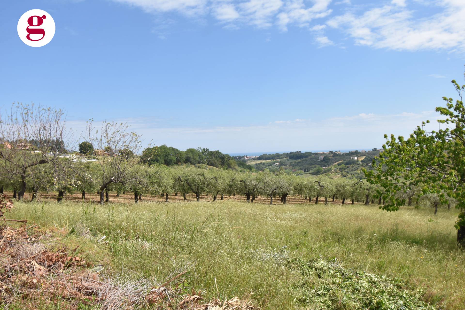 Casa indipendente in vendita a Vasto (CH)