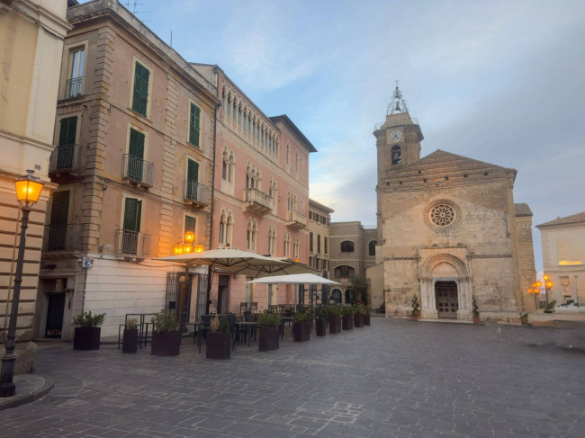 Attività commerciale