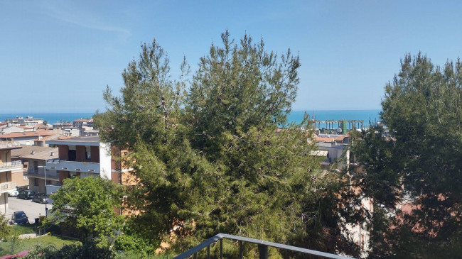 APPARTAMENTO GRANDE E LUMINOSO in Vendita a Porto Sant'Elpidio