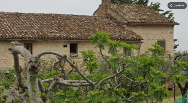 CASA INDIPENDENTE CON CORTE in Vendita a Grottazzolina