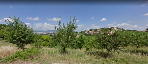 Land for Sale to Pollenza