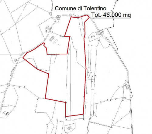 Agricultural Land for Sale to Tolentino