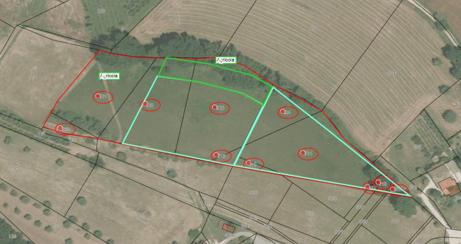TERRENO EDIFICABILE + AGRICOLO in Vendita a Montegiorgio