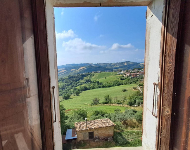 for Sale to Massa Fermana