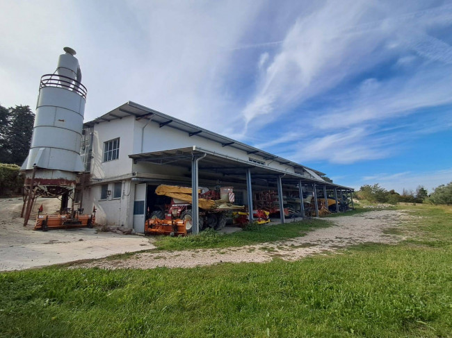 Shed for Sale to Montegiorgio