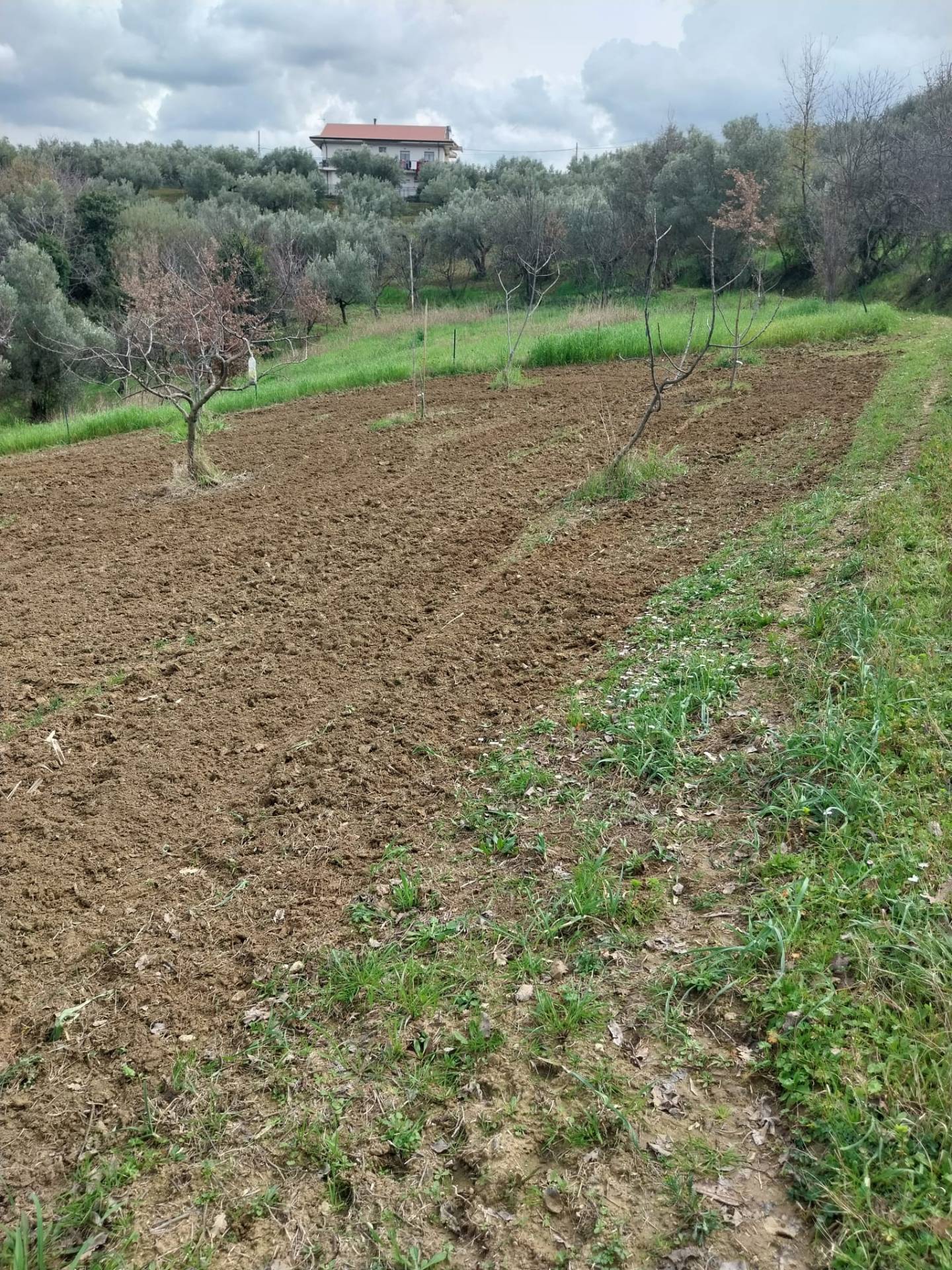 Terreno edificabile in vendita a Cosenza