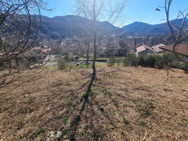 Terreno edificabile in vendita a Marchirolo