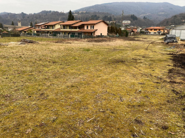 Terreno Agricolo in vendita a Grantola