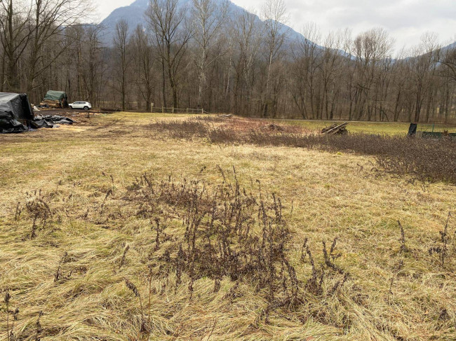 Terreno Agricolo in vendita a Grantola