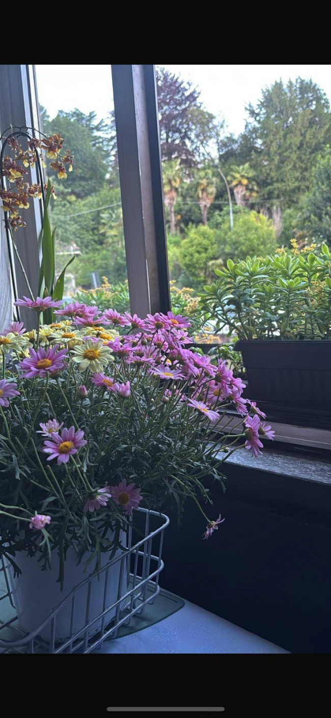 Appartamento in vendita a Induno Olona