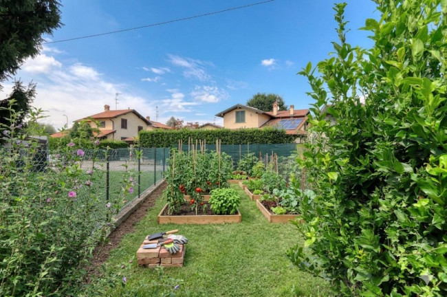 Appartamento in vendita a Carnago