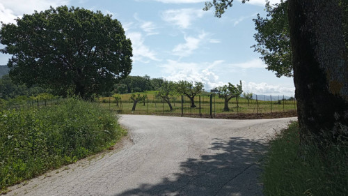Terreno agricolo in vendita a San Donato, Fabriano (AN)