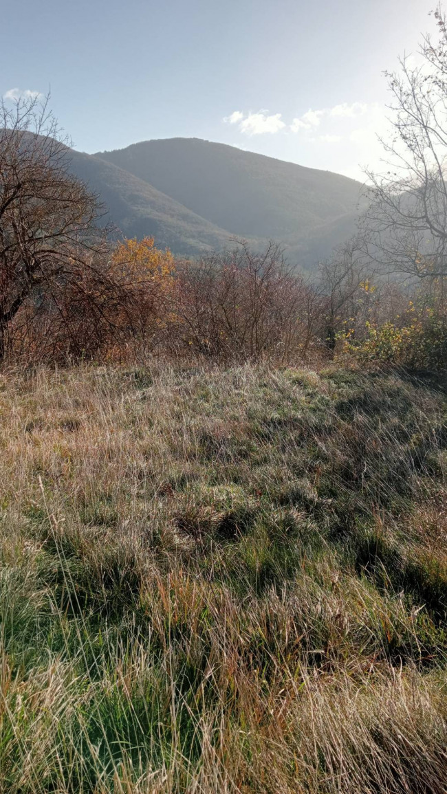 Terreno Agricolo in Vendita a Genga
