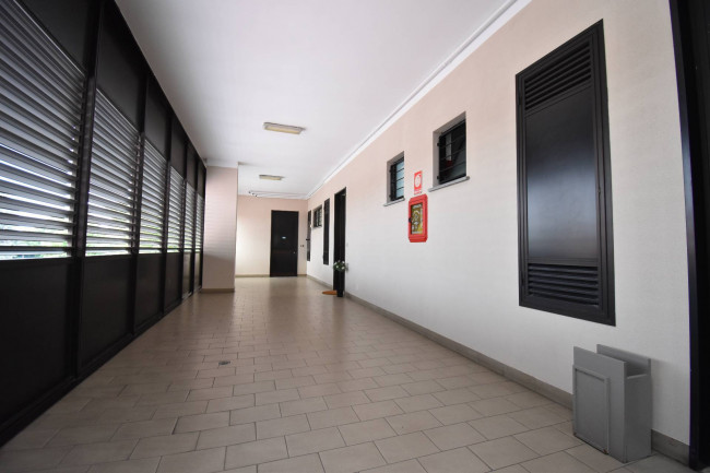 Appartamento in vendita a Collegno