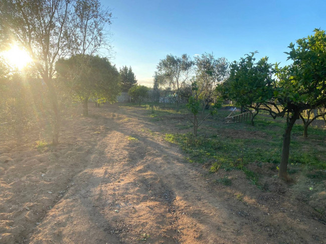 Terreno Agricolo in Vendita a Alezio