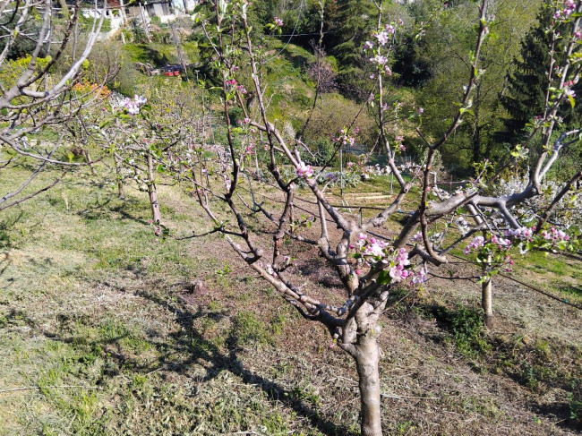 Terreno Agricolo