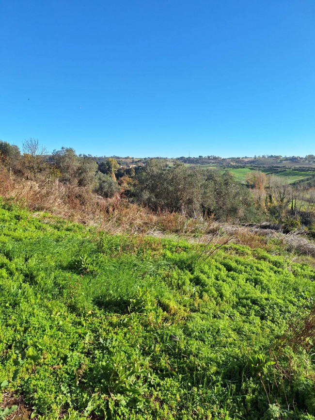 Fondo commerciale in vendita a Cerveteri (RM)