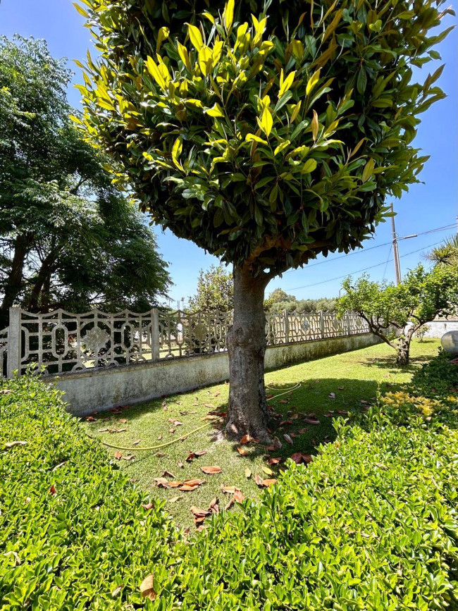 Villa in vendita a Cerveteri (RM)