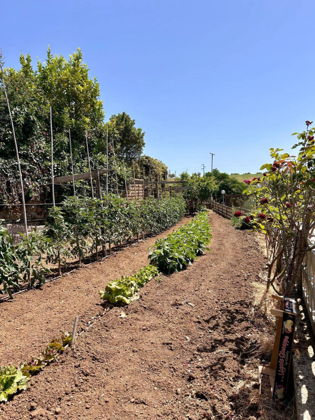 Villa in vendita a Cerveteri (RM)