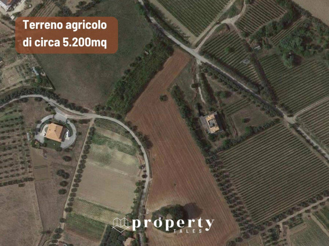 Landwirtschaftliche Flächen zu Verkaufen bis Monteprandone