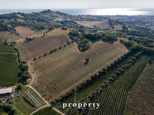 Terreno agricolo in vendita a Monteprandone (AP)