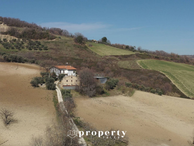 Rustic for Sale in Ripatransone