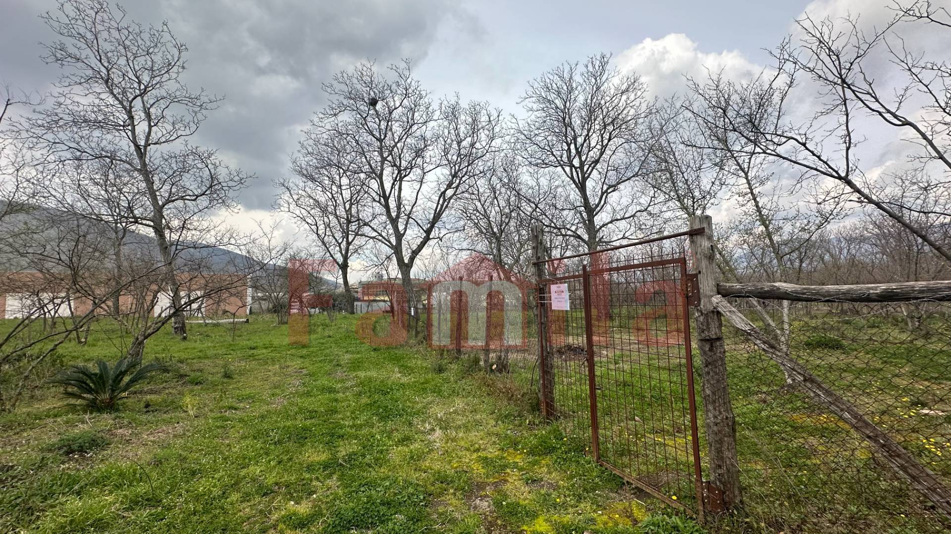 Terreno industriale in vendita a Mugnano Del Cardinale (AV)