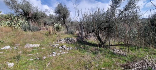 Terreno agricolo in vendita a Mugnano Del Cardinale (AV)