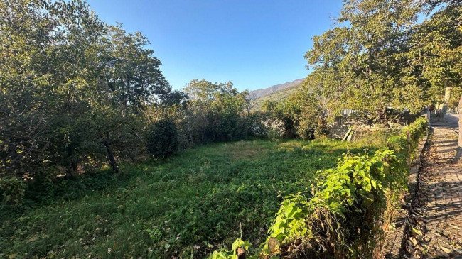 Terreno agricolo in vendita a Sirignano (AV)