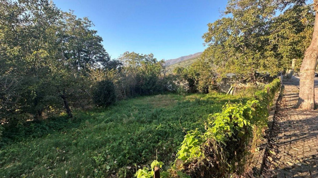 Terreno agricolo in vendita a Sirignano (AV)