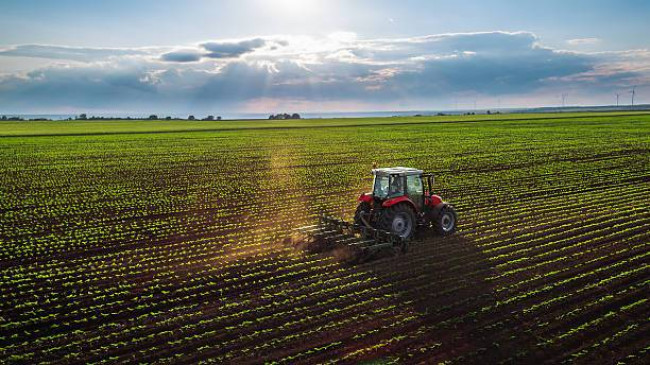 Terreno Agricolo in vendita a Udine