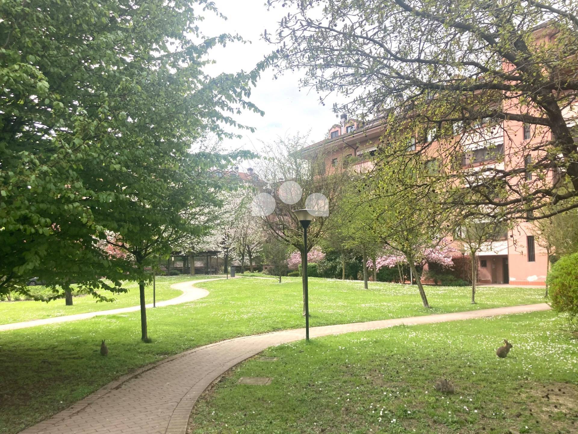 Appartamento in affitto a San Giuliano Milanese (MI)