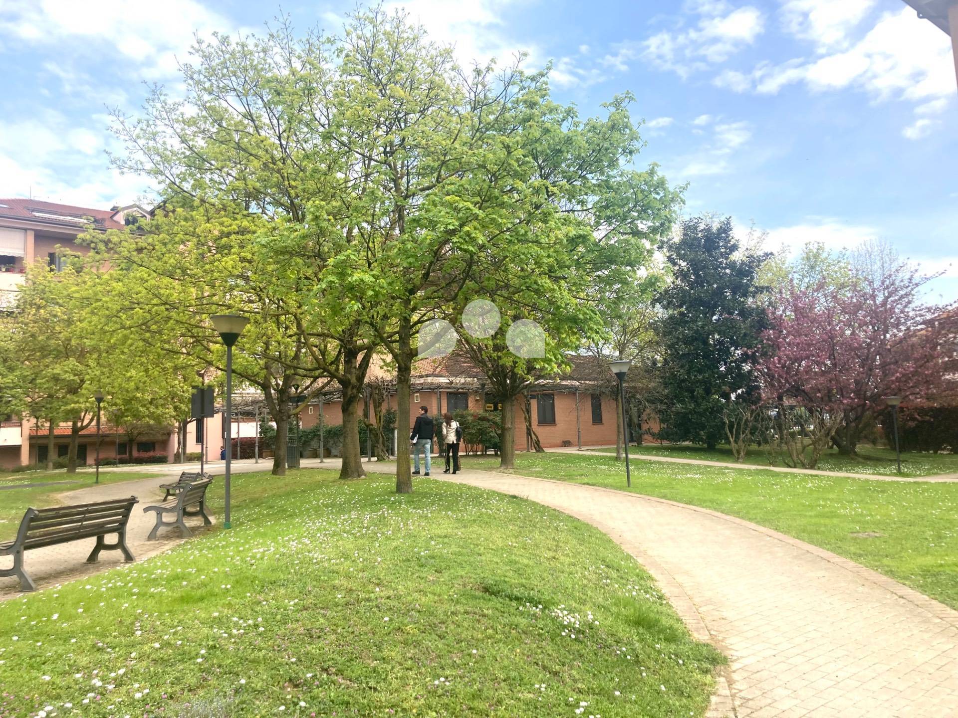 Appartamento in affitto a San Giuliano Milanese (MI)