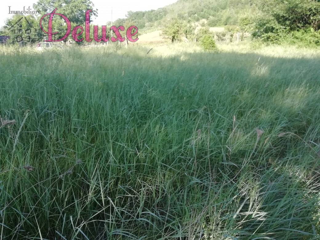 Villa Unifamiliare - Indipendente MACERATA vendita  Periferia  Immobiliare Deluxe