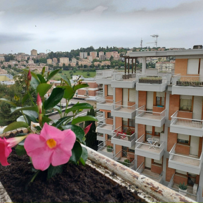 Appartamento in vendita a Macerata (MC)