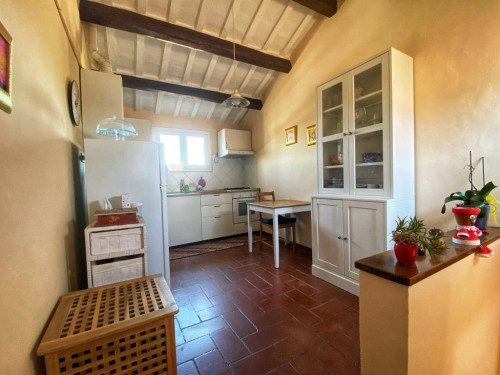 Appartamento in Affitto a Jesi