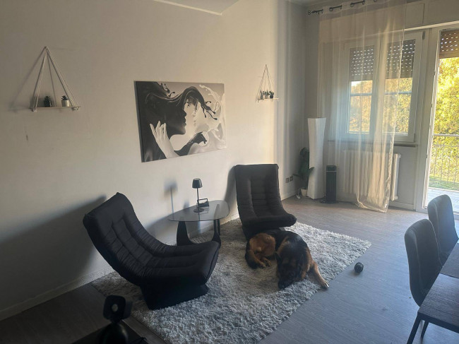 Appartamento in Vendita a Monte San Vito