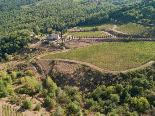 Rustico in vendita a Castelnuovo Berardenga (SI)