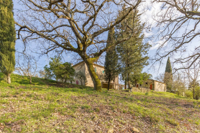 Rustico in vendita a Montebenichi, Bucine (AR)