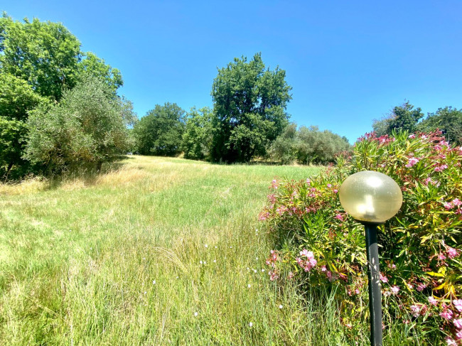 Rustico in vendita a Lucignano (AR)