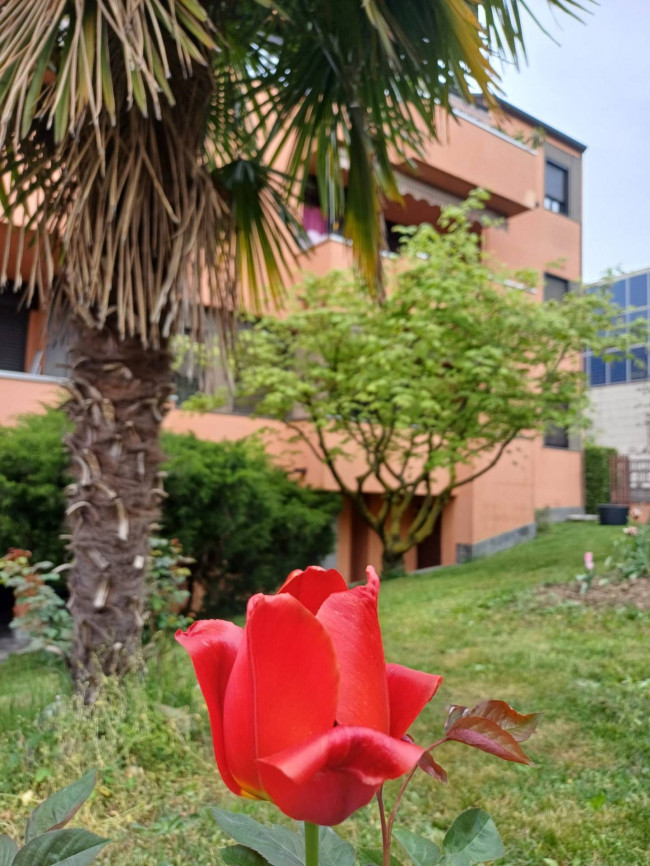 Appartamento in vendita a Cesano Boscone