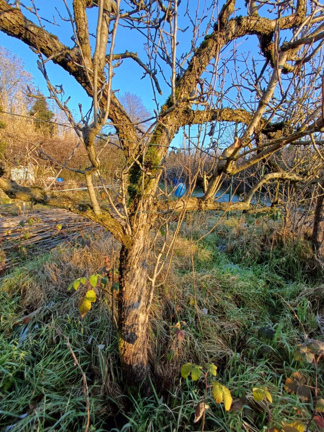 Terreno Agricolo in vendita a Milano