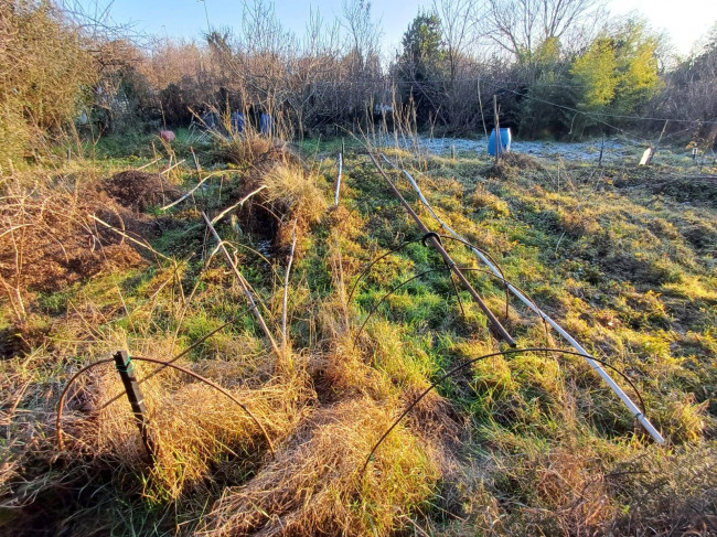 Terreno Agricolo in vendita a Milano