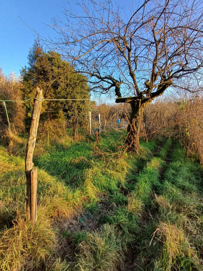 Terreno Agricolo in vendita a Milano