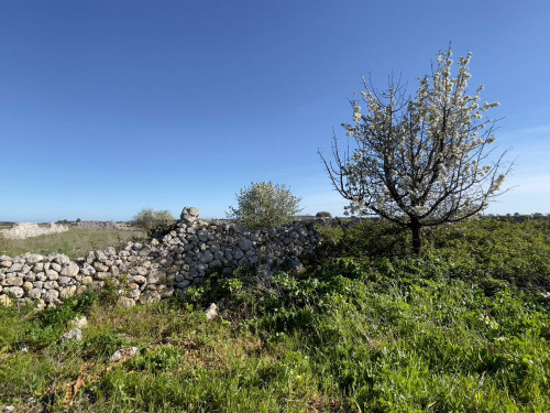 Rustico in vendita a Lecce (LE)