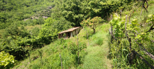 Villa in vendita a Rosara, Ascoli Piceno (AP)