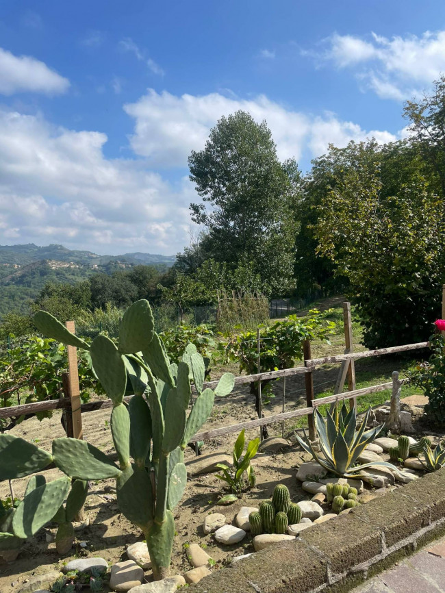 Casa semi-indipendente in vendita a Castellano, Venarotta (AP)