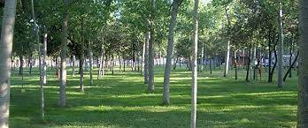 Appartamento in vendita a Viareggio (LU)